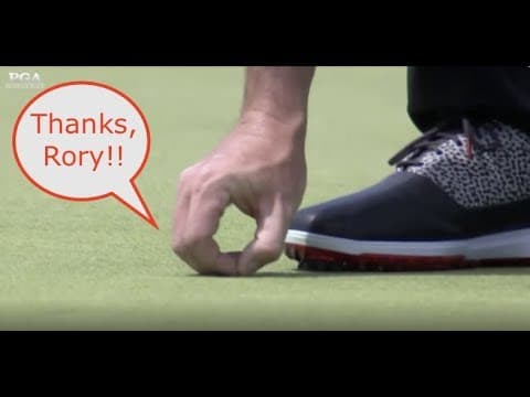 Rory McIlroy Saves Bug's Life, Drains Putt at the 2019 PGA Championship